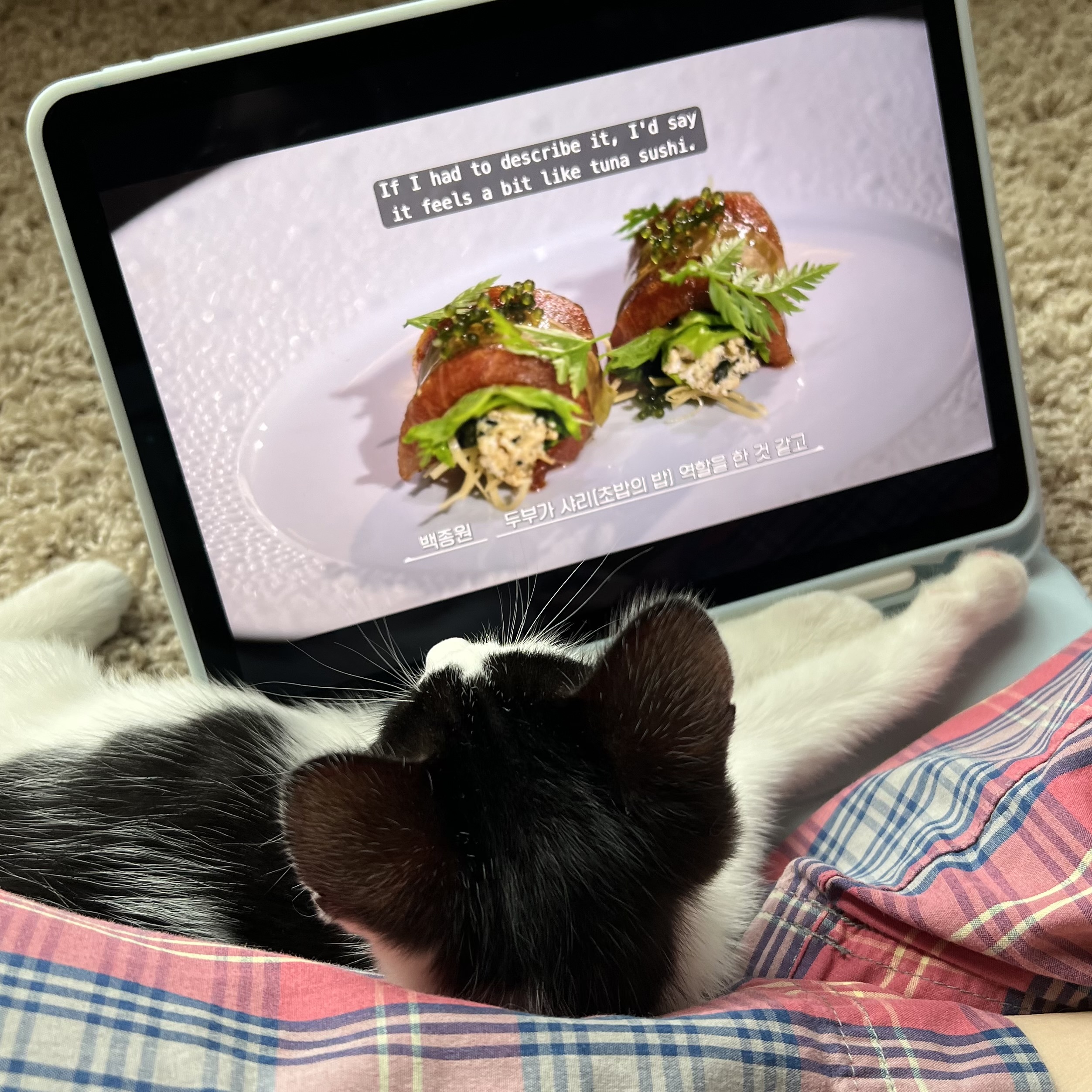 Gomu is watching a cooking competition.